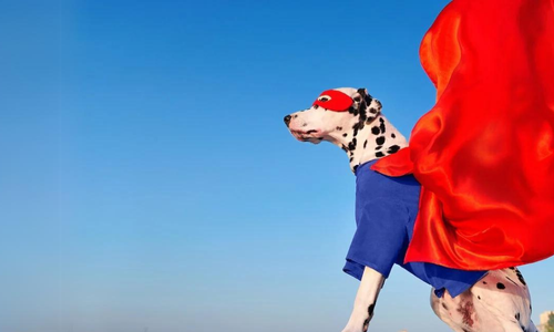 Super Dog with red cape and mask in the sky, looking for food